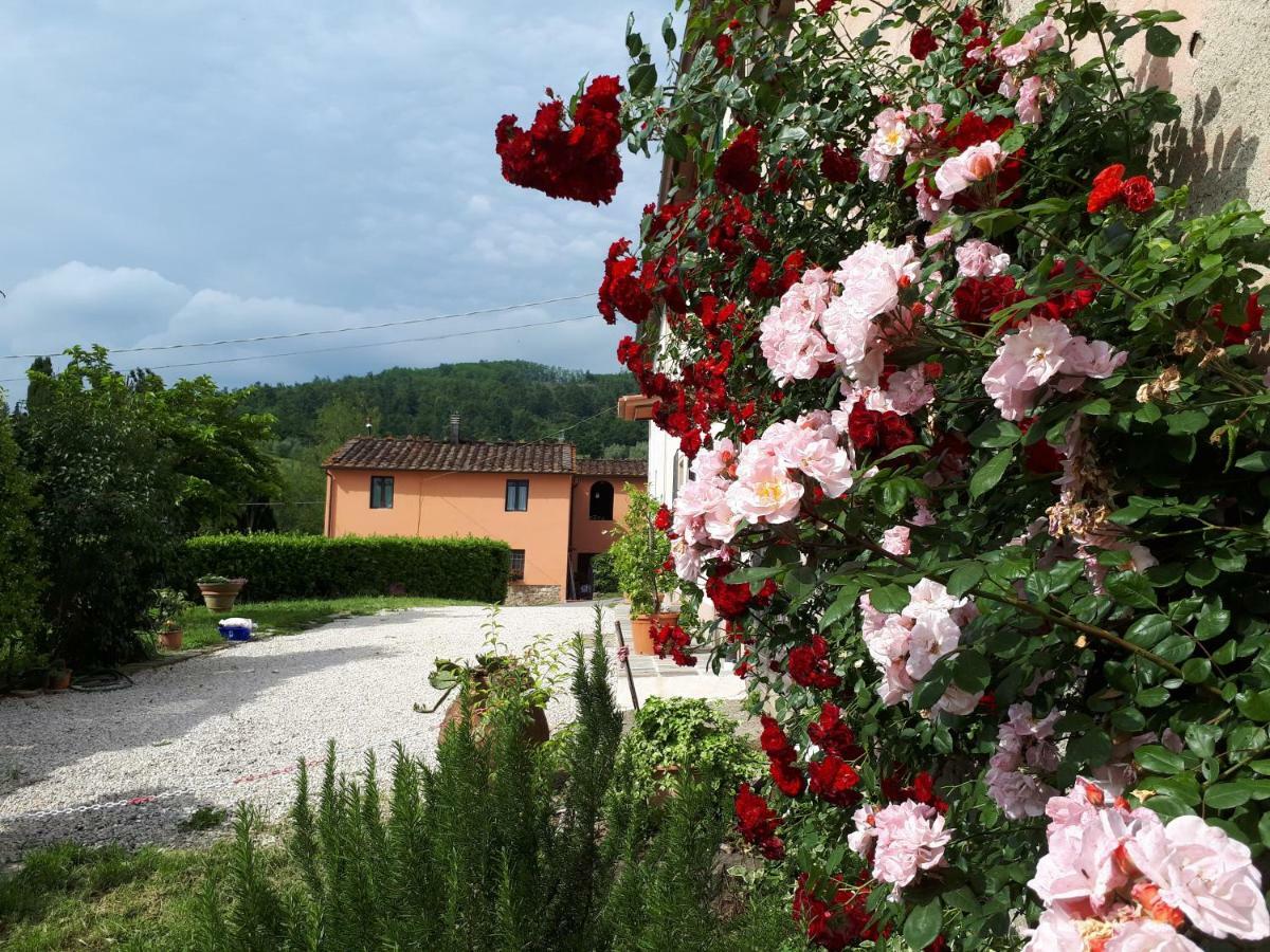 Casa "Il Brio" Villa Pistoia Buitenkant foto